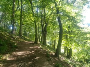 Crawshaw Grove Beauchief